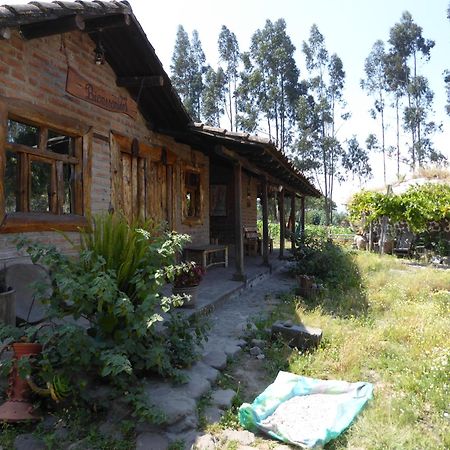 El Tio Hostal Otavalo Extérieur photo