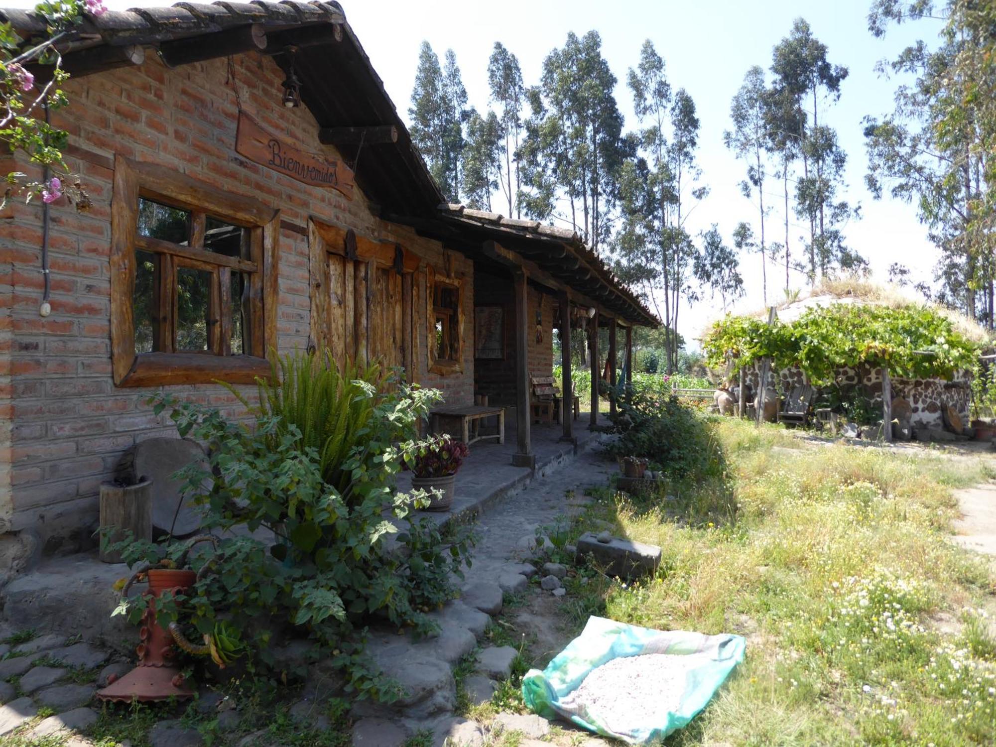 El Tio Hostal Otavalo Extérieur photo