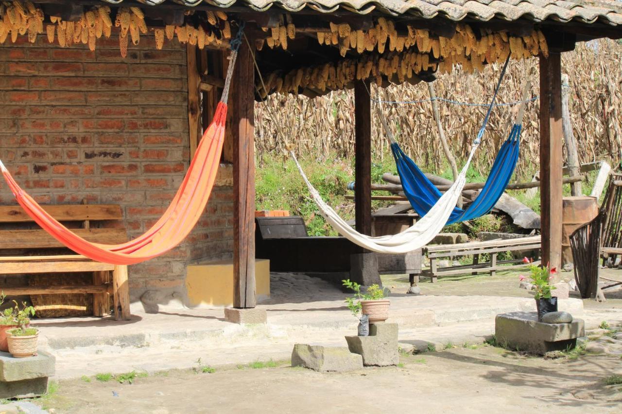 El Tio Hostal Otavalo Extérieur photo